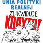 swinki