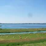 Jezioro Tarnobrzeskie od strony wyspy, fot. M.Piasek