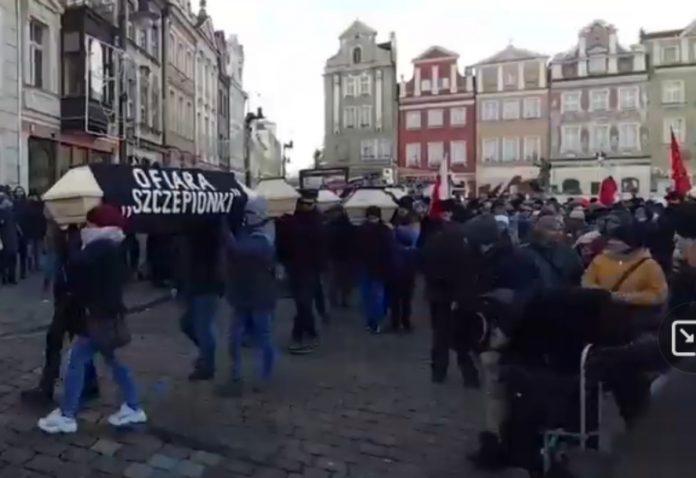 Na protest przeciwko segregacji i przymusowi szczepień w Poznaniu przyniesiono trumny Źródło: YouTube