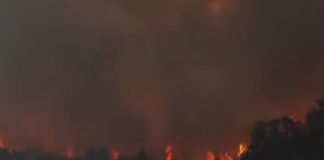 Pożar lasu w Argentynie. / foto: screen YouTube: euronews