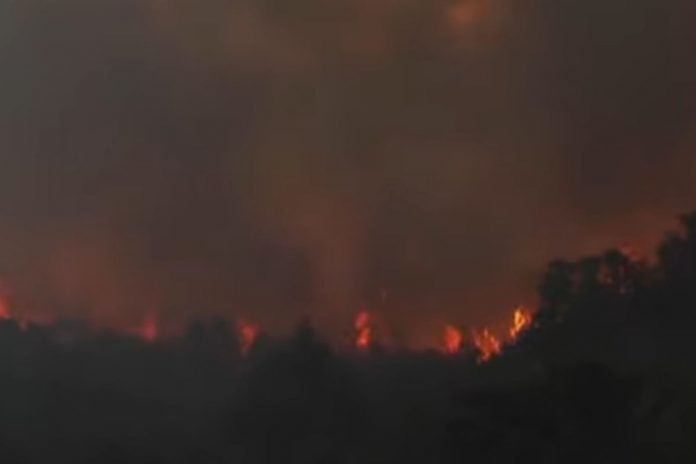 Pożar lasu w Argentynie. / foto: screen YouTube: euronews