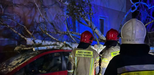 Powalone drzewo. Foto: remiza.pl