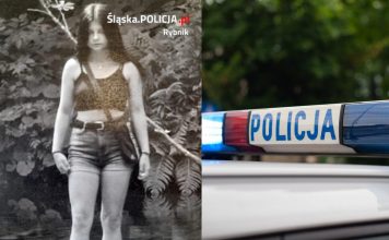 Zaginiona 15-latka, radiowóz Źródło: śląska policja, Pixabay, collage