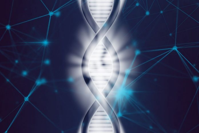 genom-dane-genetyczne-biotechnologia Genom.