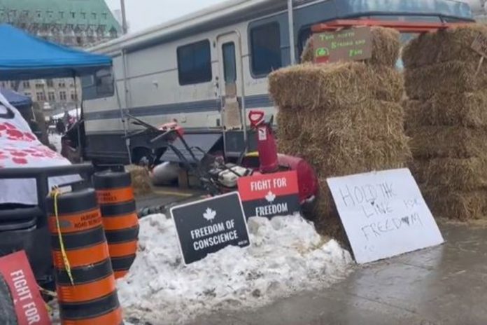 Kadr z protestu w Ottawie. / foto: screen Twitter: @elie_mcn