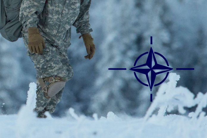 Żołnierz oraz logo NATO - zdjęcie ilustracyjne. / foto: domena publiczna (kolaż)