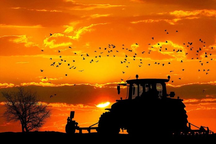 Obrazek ilustracyjny/Traktor o zachodzie Słońca/Fot. Pixabay