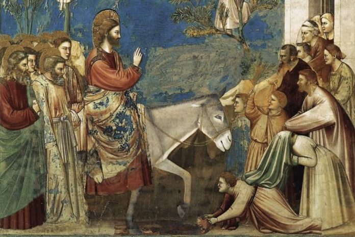 wjazd_jezusa_do_jerozolimy Giotto di Bondone "Wjazd do Jerozolimy". Źródło: wikimedia