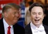 Donald Trump, Elon Musk Źródło: PAP, collage