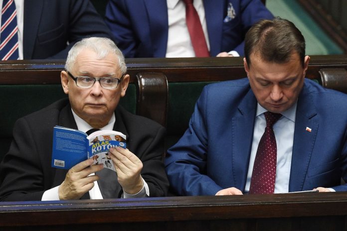 Jarosław Kaczyński przegląda 