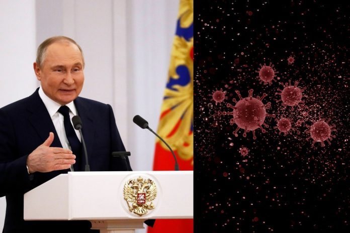 Władimir Putin, wirusy Źródło: PAP, Pixabay, collage