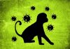 Małpia ospa kontra koronawirus. Foto: Pixabay