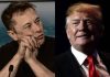 Elon Musk oraz Donald Trump. / foto: Flickr, Daniel Oberhaus, CC BY 2.0 / PAP/EPA (kolaż)