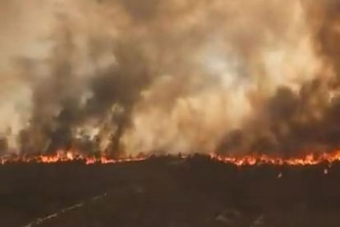 Ogromne pożary w Hiszpanii. Zdjęcie ilustracyjne. / foto: screen Twitter