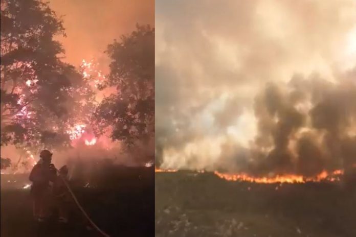 Ogromne pożary w Hiszpanii. / foto: screen Twitter (kolaż)