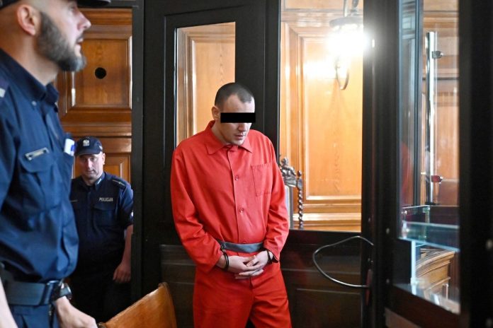 Oskarżony o zabójstwo Pawła Adamowicza Stefan W. przed sądem. Foto: PAP