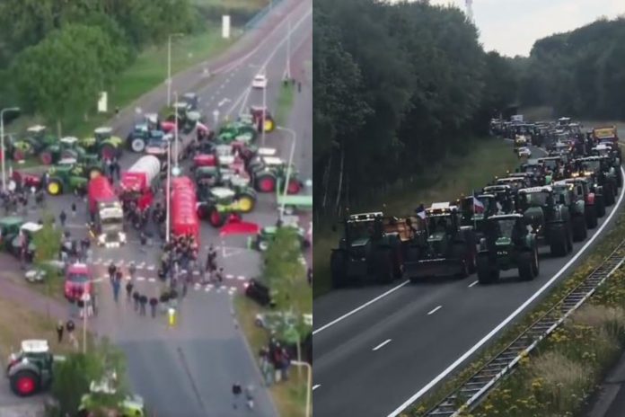 Kadry z protestów w Holandii. / foto: screen Twitter (kolaż)