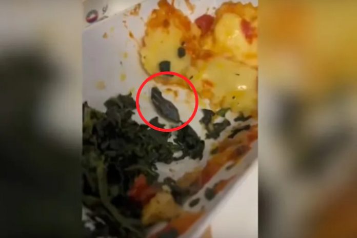 węże-w-samolocie-głowa-węża-jedzenie-lot-do-turcji-tanio-nczas Głowa węża w posiłku serwowanym na pokładzie samolotu tanich linii Źródło: YouTube