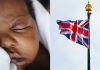 Dziecko, flaga Wielkiej Brytanii Źródło: Pexels, collage
