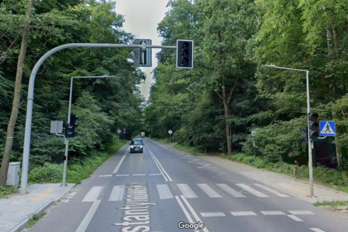 Sygnalizacja świetlna w środku lasu Okręglik w Zgierzu / Foto: screen Google Maps