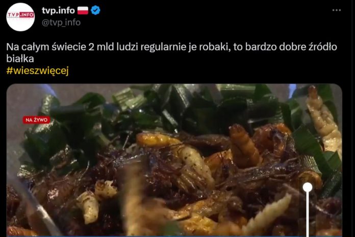 TVP Info promuje jedzenie robaków Źródło: Twitter