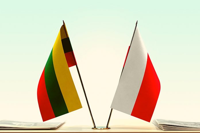 Litwa-Polska Litwa i Polska. Zdjęcie ilustracyjne: Canva