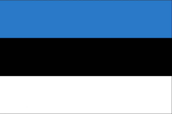 Flaga Estonii. Zdjęcie: Pixabay