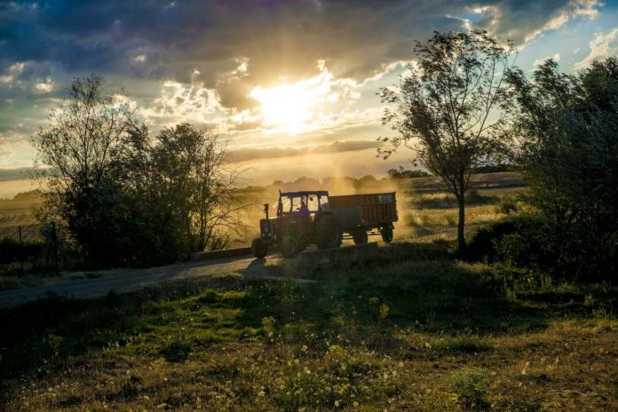 Traktor na polu Źródło: Pexels