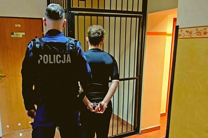 Jeden z zatrzymanych nastolatków w drodze do policyjnego aresztu. Zdjęcie: gdansk.policja.gov.pl