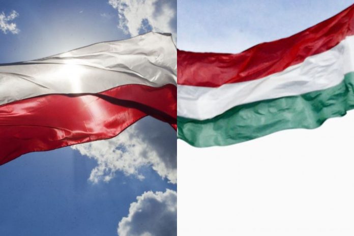 Flagi Polski i Węgier.