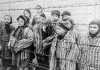 Dzieci w niemieckim obozie koncentracyjnym Auschwitz-Birkenau / Foto: Domena publiczna