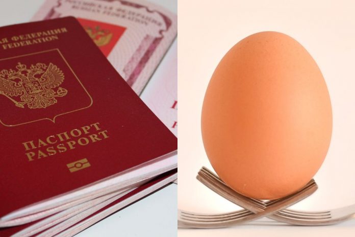 Rosyjski paszport i jajko