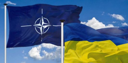 Zdjęcie ilustracyjne / Flagi NATO i Ukrainy / Foto: Pixabay