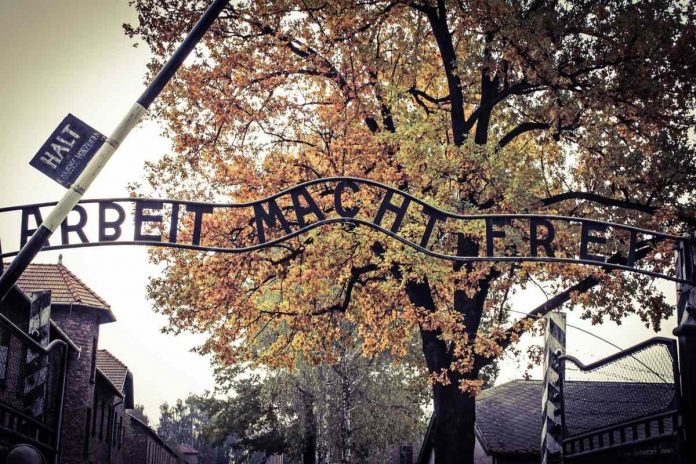 Auschwitz. Zdjęcie: Pixabay