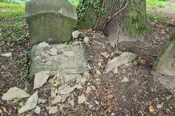 Zniszczona macewa na cmentarzu żydowskim w Cieszynie / Foto: Facebook/Gmina Wyznaniowa Żydowska w Bielsku-Białej