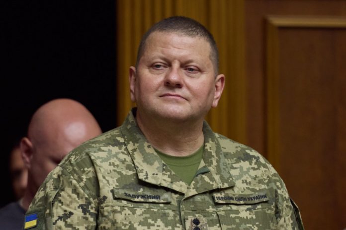Naczelny dowódca Sił Zbrojnych Ukrainy gen. Walerij Załużny. Foto: wikimedia