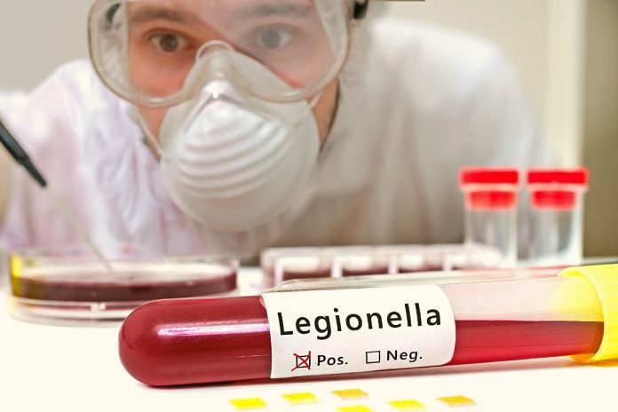 Legionella. Zdjęcie ilustracyjne: Canva