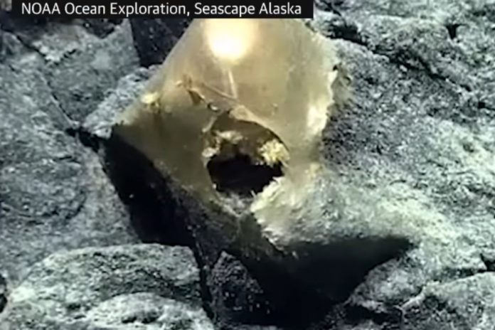 Złota kula odnaleziona w Oceanie Źródło: YouTube / The Guardian