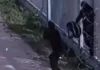 Migranci z bronią przedarli się przez zaporę na granicy z Białorusią? Fot. X
